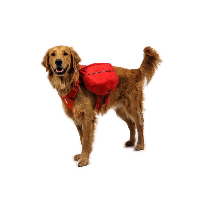 Ruffwear Palisades™ Pack