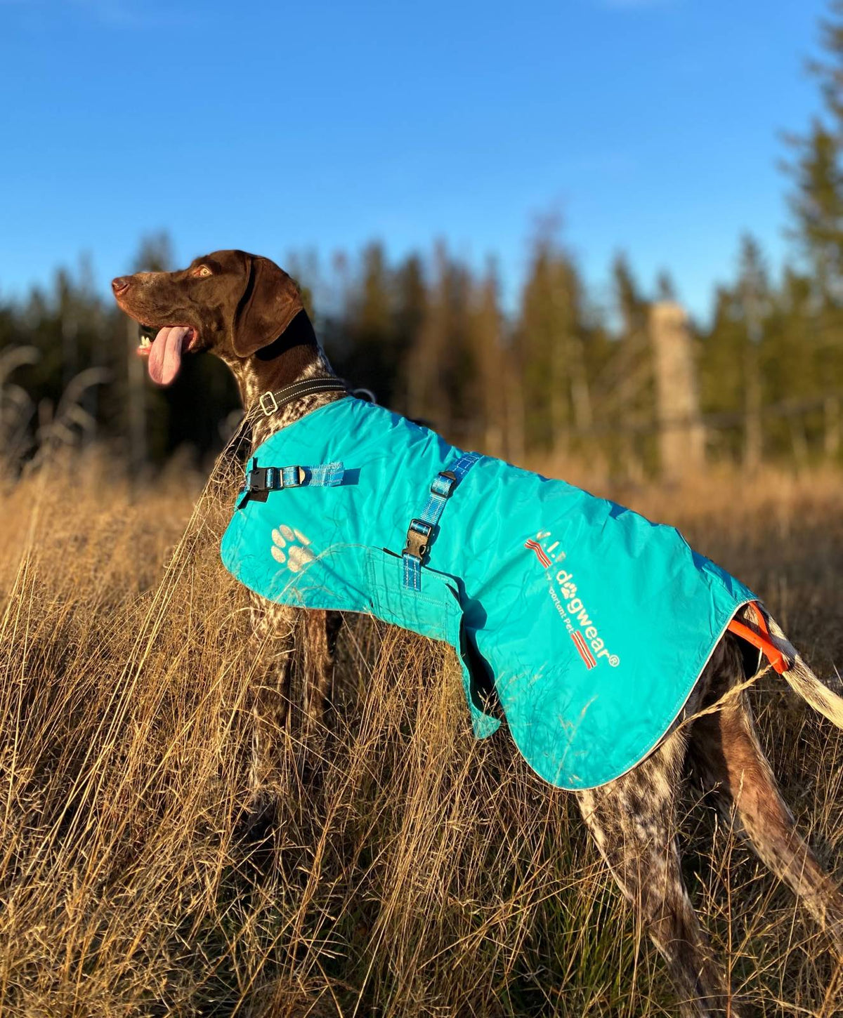 V.I.P. dogwear Fast Track Cover