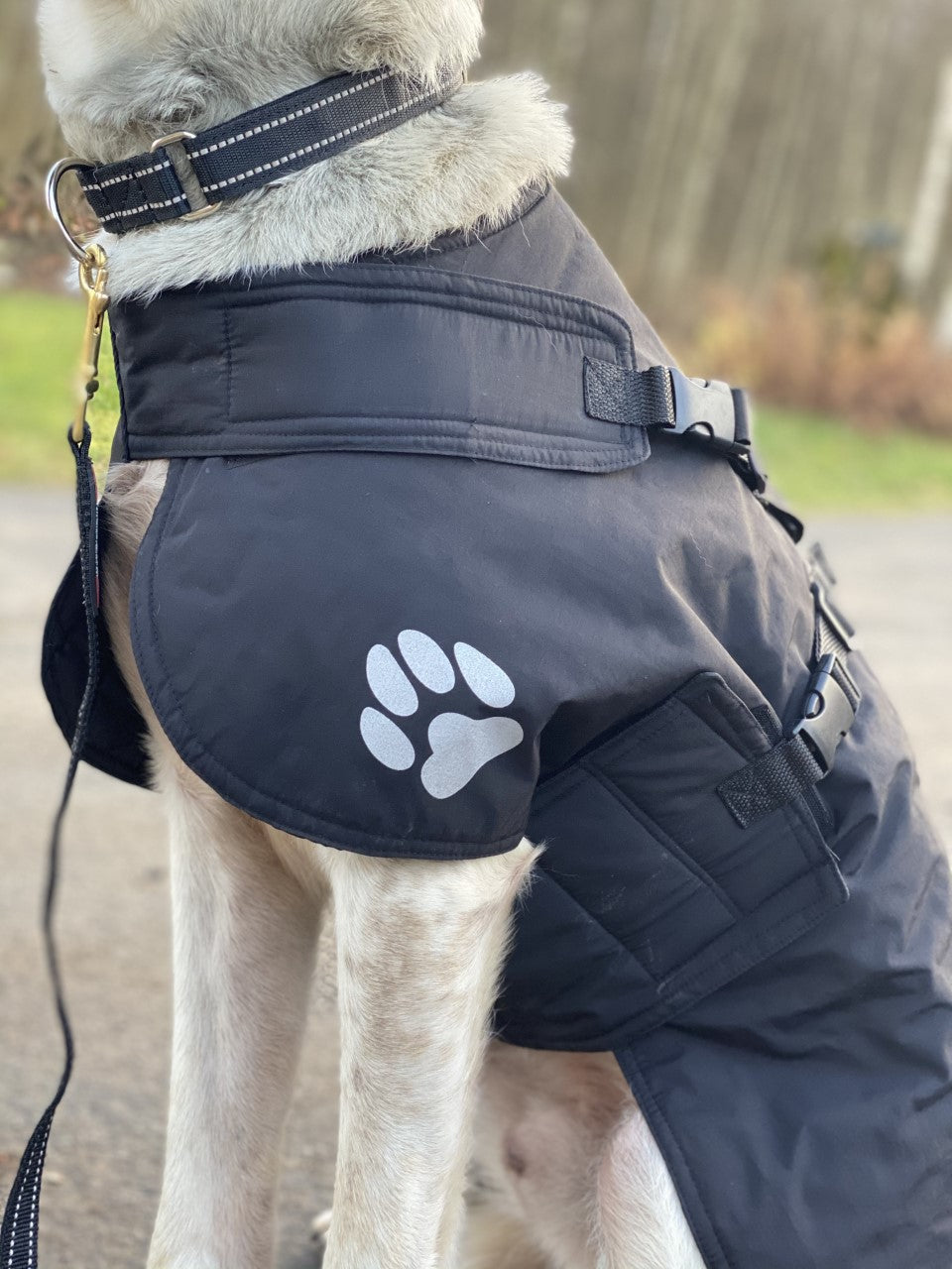 V.I.P. dogwear Fast Track Cover