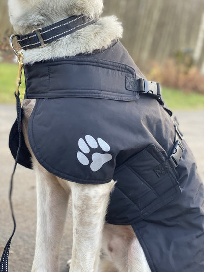 V.I.P. dogwear Fast Track Cover