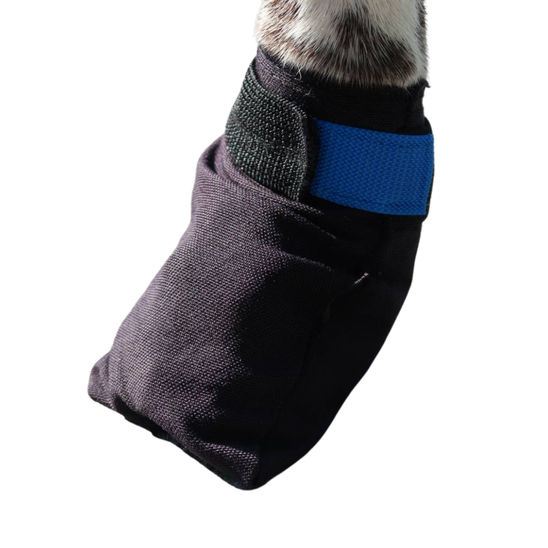 V.I.P. dogwear Finnmark Booties, 4 kpl