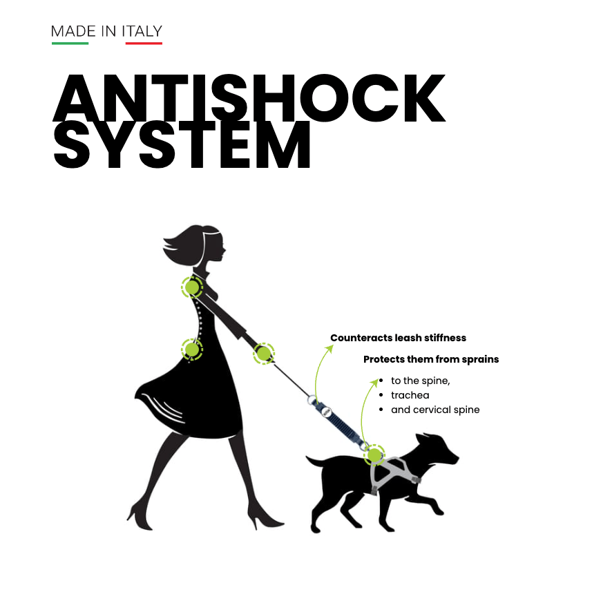 WAW Antishock Basic