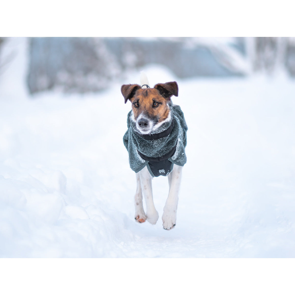 Non-stop dogwear Wool Dog Jacket