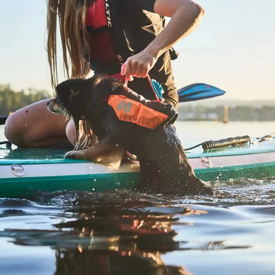 Non-stop dogwear Protector Life Jacket
