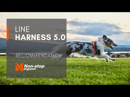 Non-stop dogwear Line Harness 5.0 OUTLET