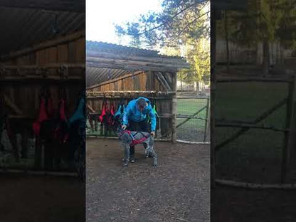 Inlandsis Blizzard Beast Harness V2 OUTLET