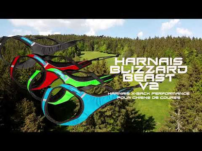 Inlandsis Blizzard Beast Harness V2 OUTLET