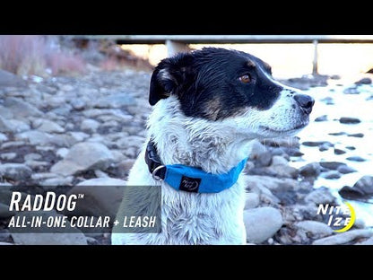 Nite Ize RadDog All-in-One Collar + Leash