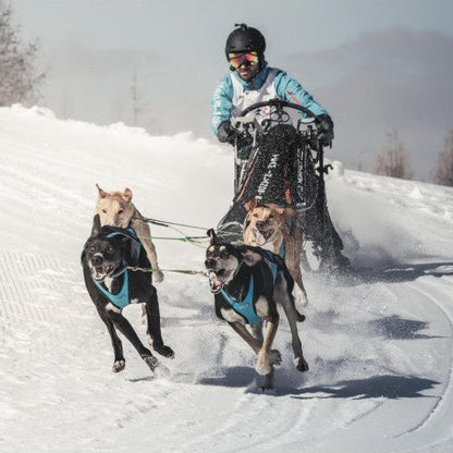 Inlandsis Blizzard Beast Harness V2 OUTLET