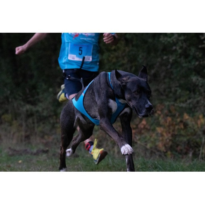 Inlandsis Blizzard Beast Harness V2 OUTLET