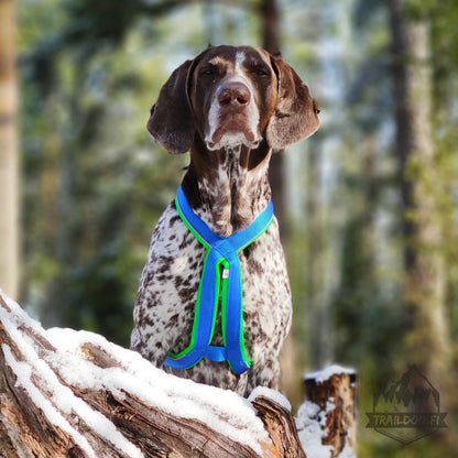 Inlandsis Polar Quest Harness
