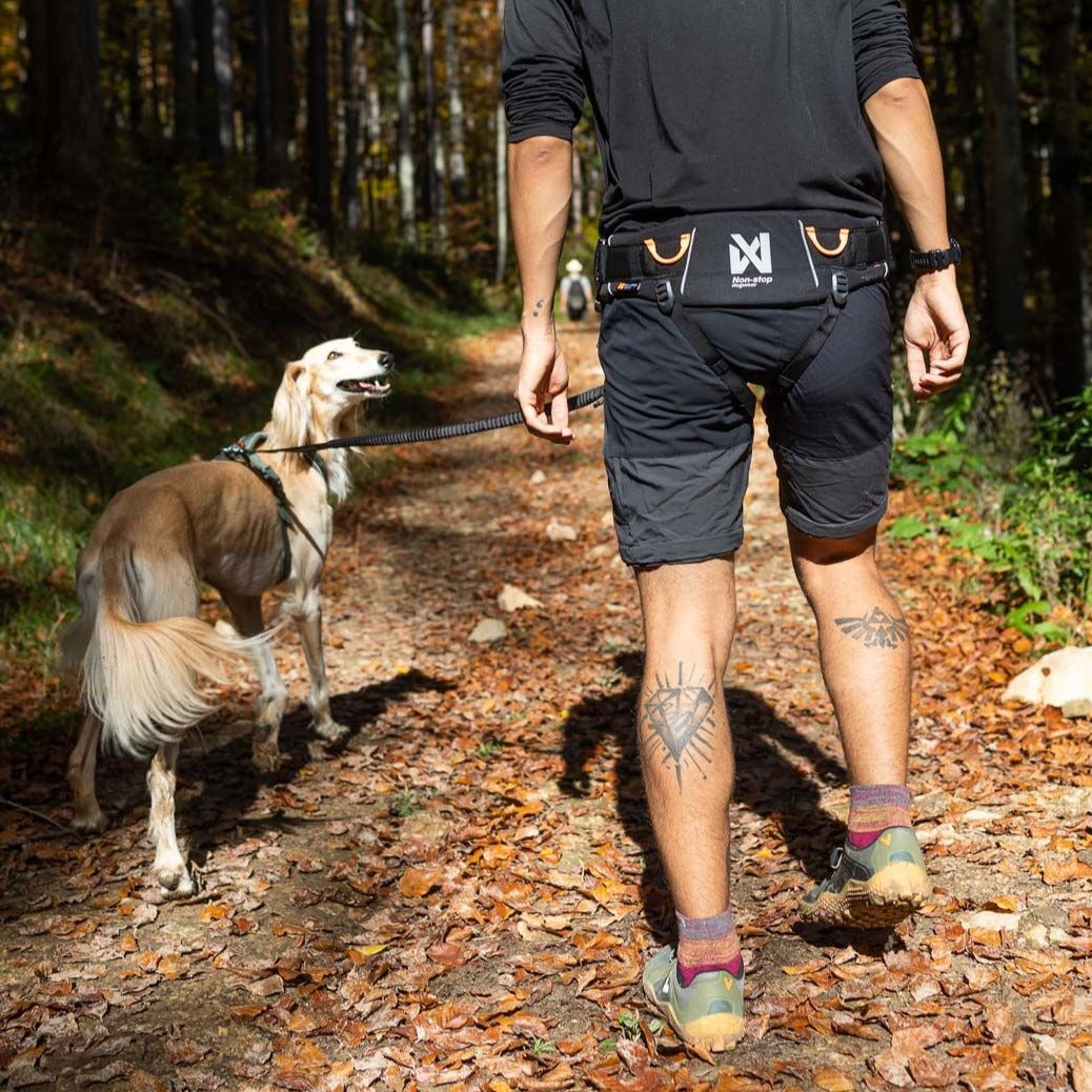 Non-stop dogwear Trekking Belt 2.0